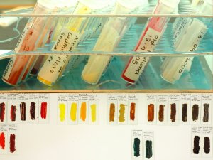 Proyectos de investigación: laboratorio de materiales