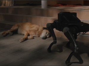 Roman Khimei y Yarema Malashchuk. Open World [Mundo abierto], 2025