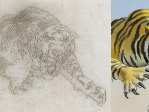Comparativa de la transferencia del dibujo entre la lámina plástica y la obra final Comparativa de la transferencia del dibujo entre la lámina plástica y la obra final