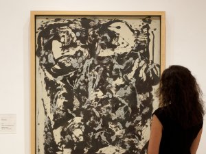 salas  pollock 