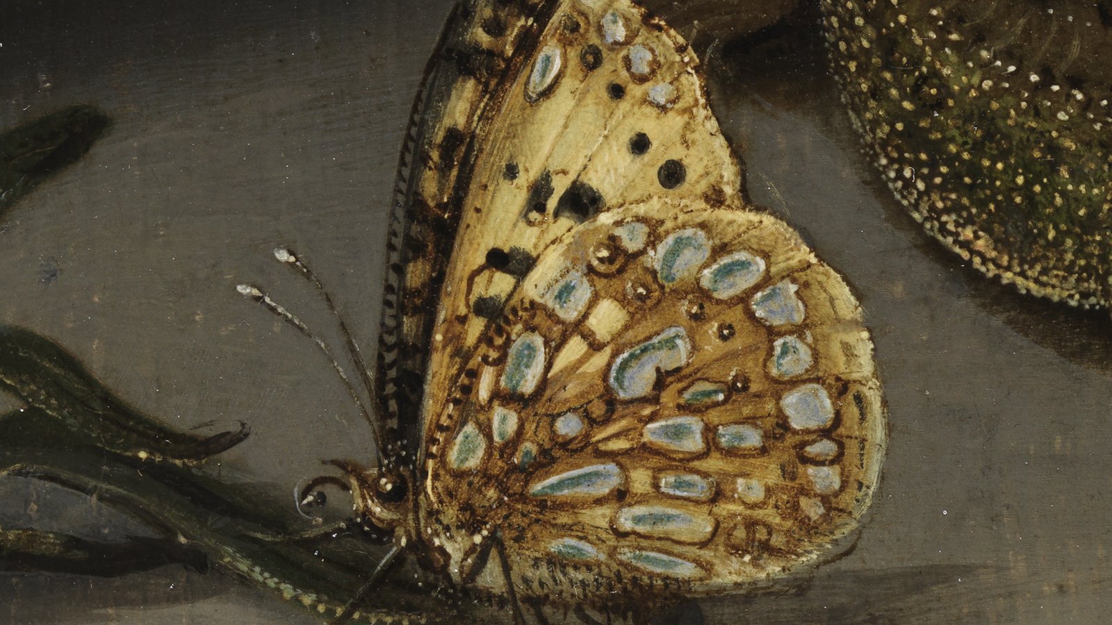 Detalle en macrofotografía de la obra de Ast "Vaso chino con flores, conchas e insectos"