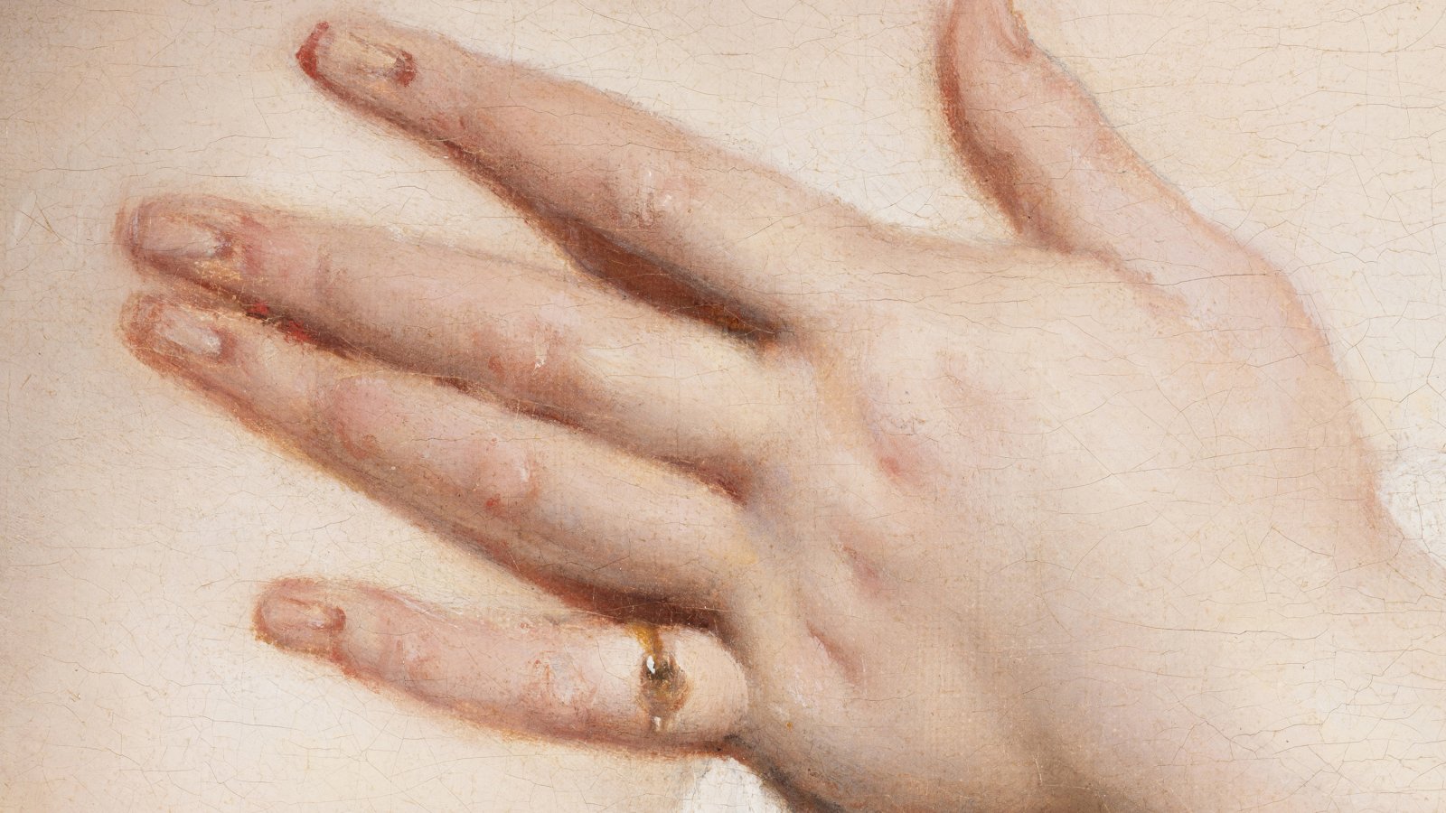 Detalle del contorno de las carnaciones de la obra “Venus y Cupido”