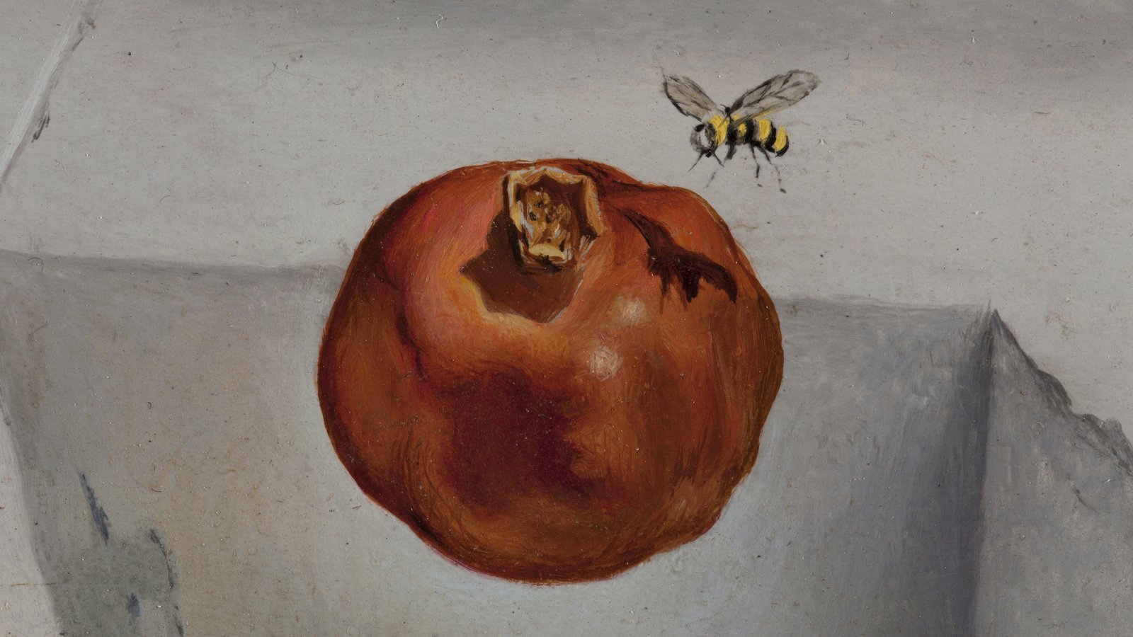 Detalle de la granada de la obra “Un segundo antes del despertar de un sueño provocado por el vuelo de una abeja alrededor de una granada”, de Salvador Dalí