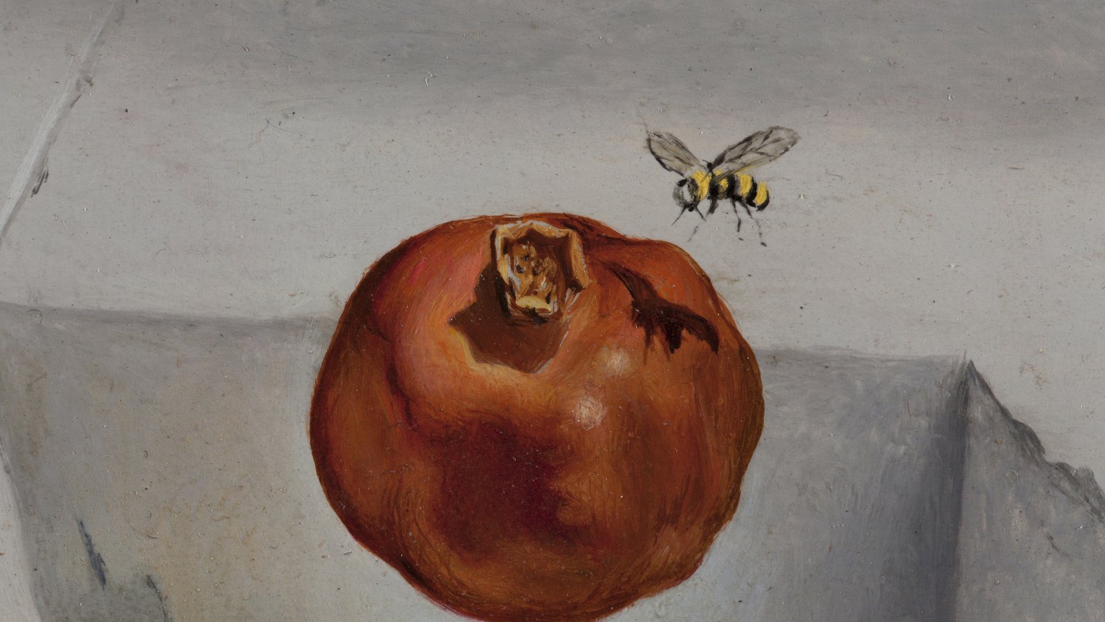 Detalle de la granada de la obra “Un segundo antes del despertar de un sueño provocado por el vuelo de una abeja alrededor de una granada”, de Salvador Dalí
