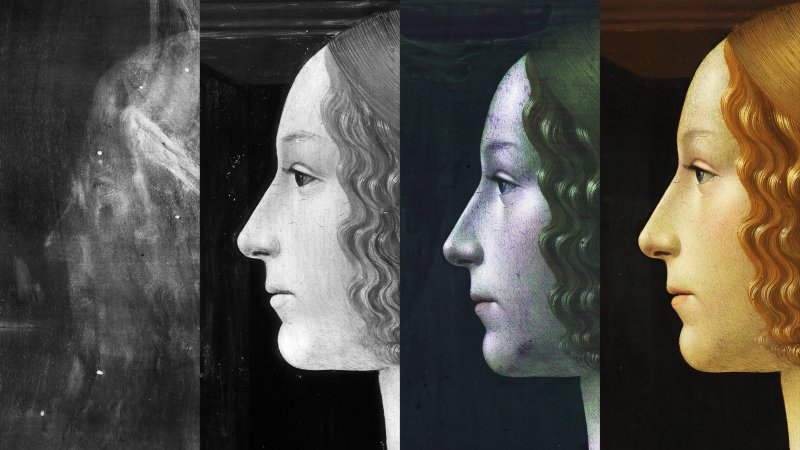 Composition of technical images for the study of Ghirlandaio's work “Portrait of Giovanna degli Albizzi Tornabuoni”. Composition of technical images for the study of Ghirlandaio's work “Portrait of Giovanna degli Albizzi Tornabuoni”.