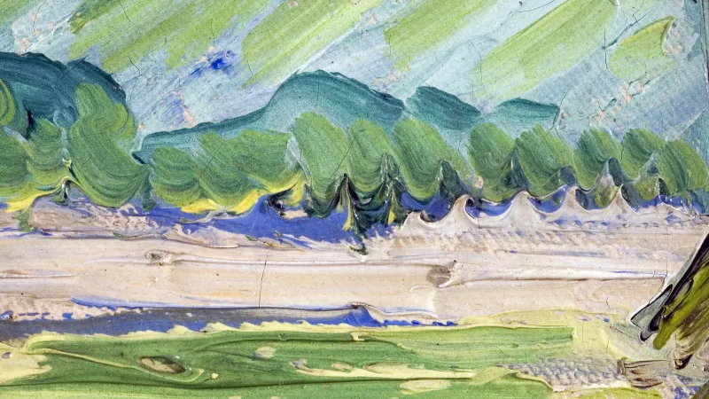 Detalle de la imagen rasante de la obra de Van Gogh "Les Vessenots en Auvers" Detalle de la imagen rasante de la obra de Van Gogh "Les Vessenots en Auvers"