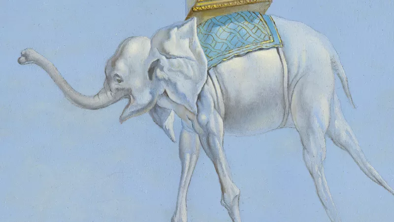 Detail of the double line generated by the drawing transfer system used by Dalí