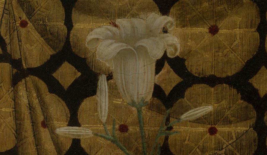 Detail of the iris flower 