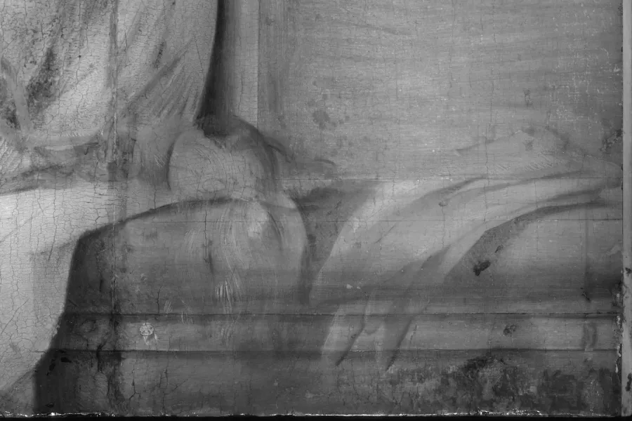 Infrared image detail of the incision lines made by Pier Francesco Foschi in the work “Portrait of a Lady”