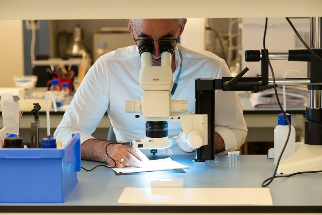 Materials laboratory: analytical equipment Materials laboratory: analytical equipment