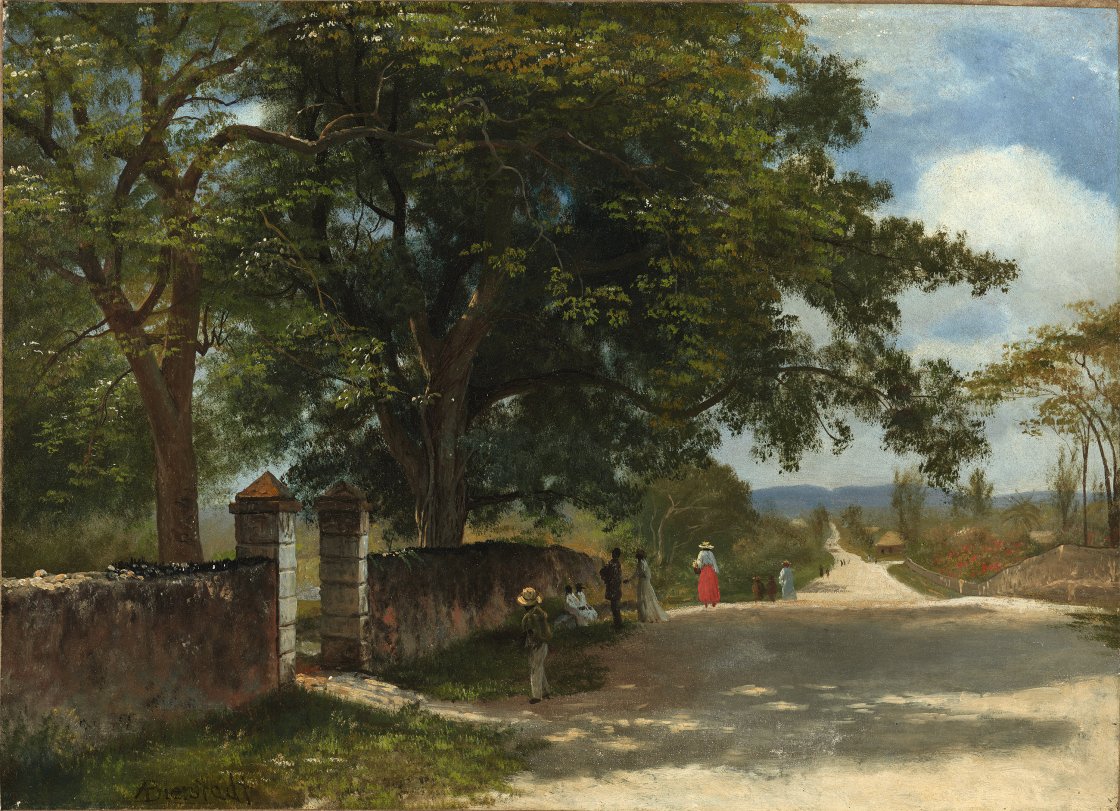 Street in Nassau. Calle en Nassau, c. 1877-1880