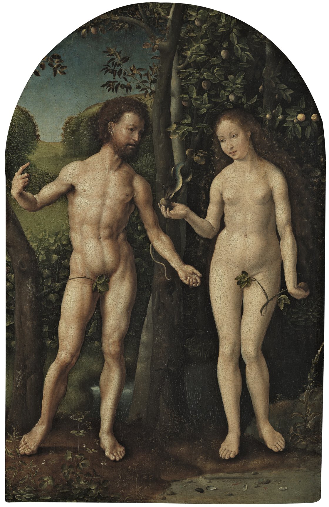 Adam and Eve. Adán y Eva, c. 1507-1508 Adam and Eve. Adán y Eva, c. 1507-1508