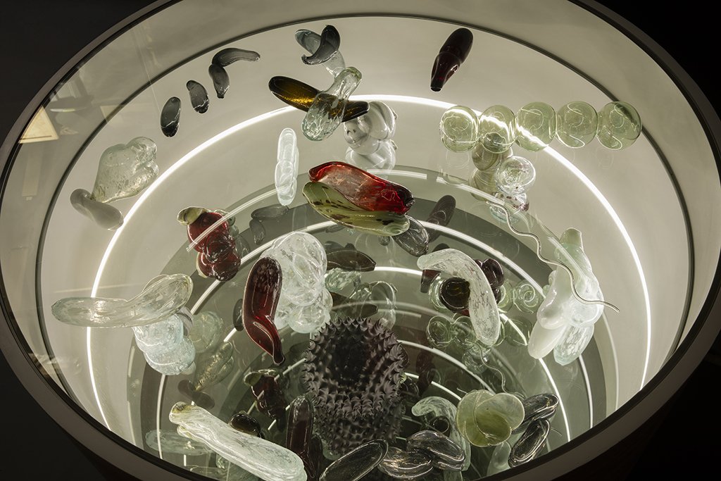 Asunción Molinos Gordo. Quorum Sensing, 2023