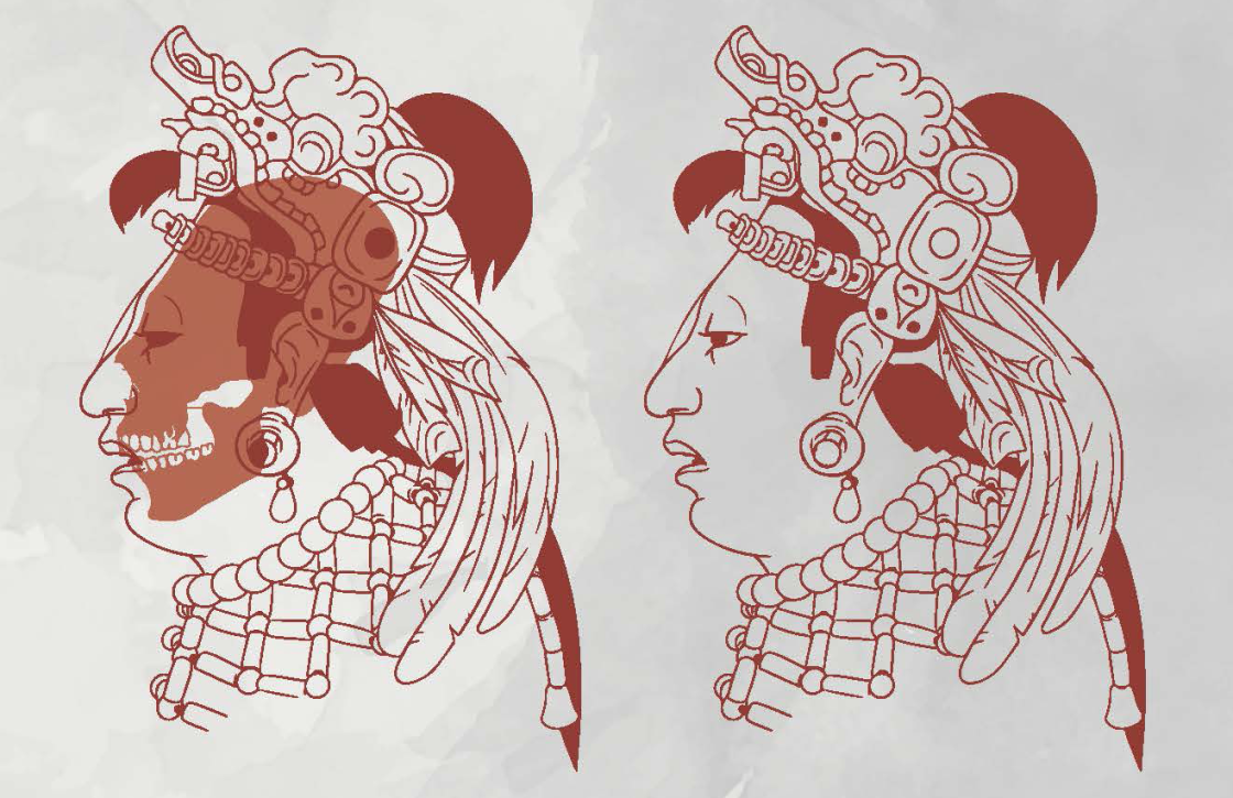 Reconstrucción facial de la señora Tz´aka´ab Ajaw a partir de tres retratos y su cráneo Reconstrucción facial de la señora Tz´aka´ab Ajaw a partir de tres retratos y su cráneo