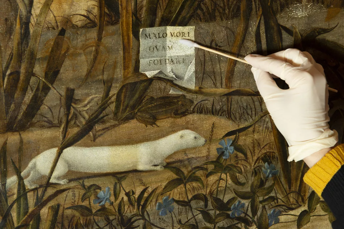 Detail of the varnish cleaning process of Carpaccio's painting "Young Knight in a Landscape"