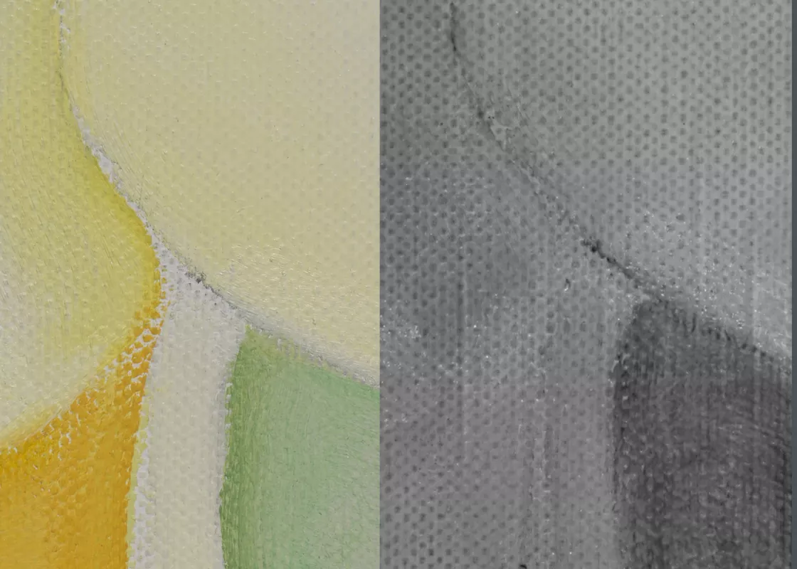 “White Iris No. 7”: Comparative between visible and infrared image