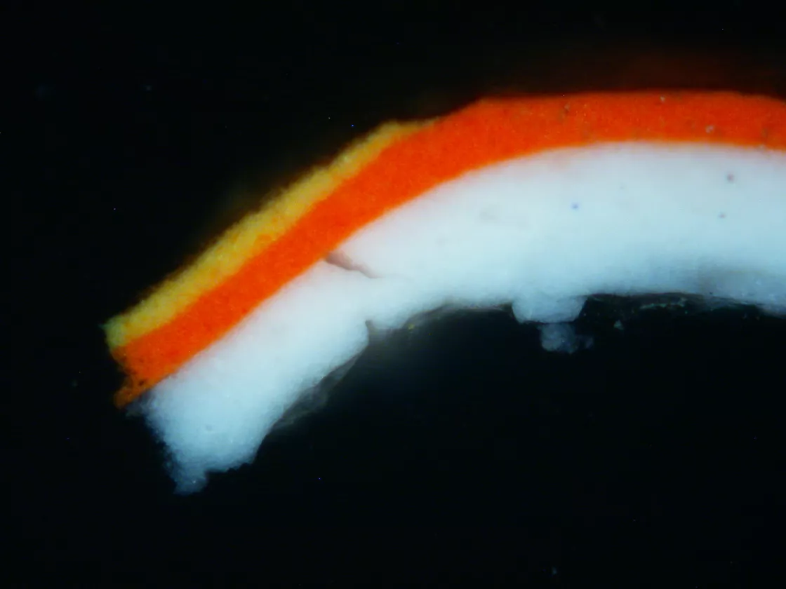 Detail of the micro-sample taken from the painting ''From the Plains II'', 1954