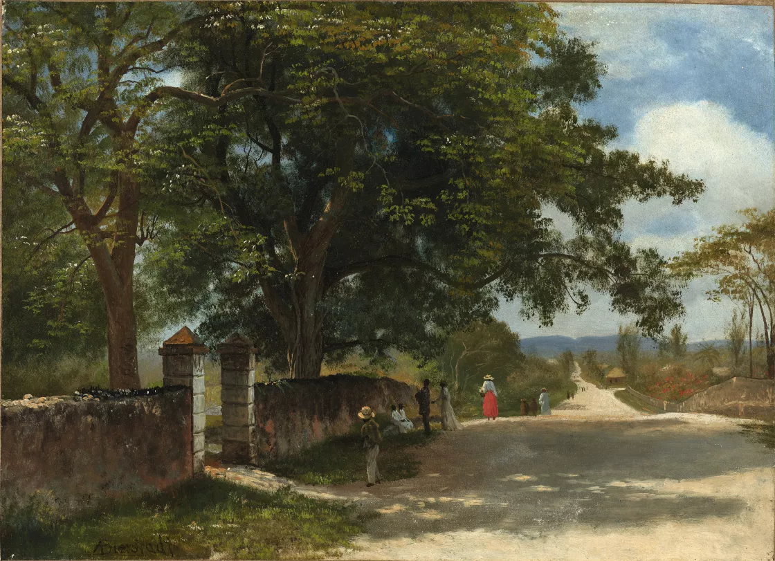 Street in Nassau. Calle en Nassau, c. 1877-1880 Street in Nassau. Calle en Nassau, c. 1877-1880