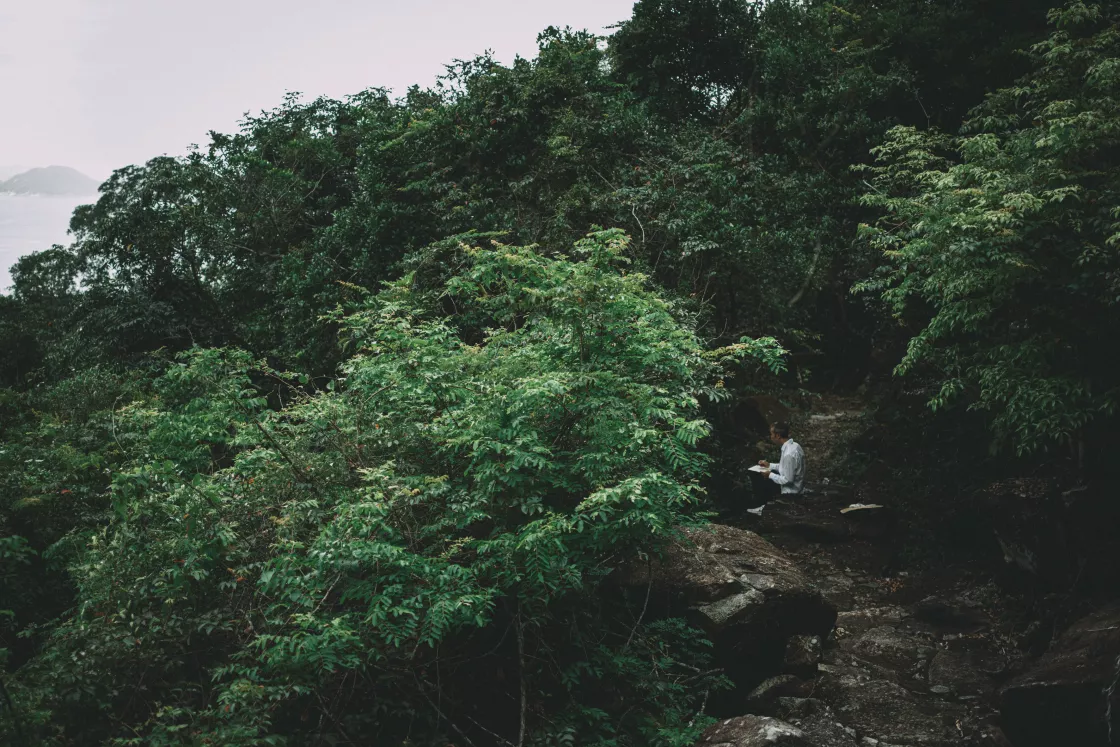 Zheng Bo