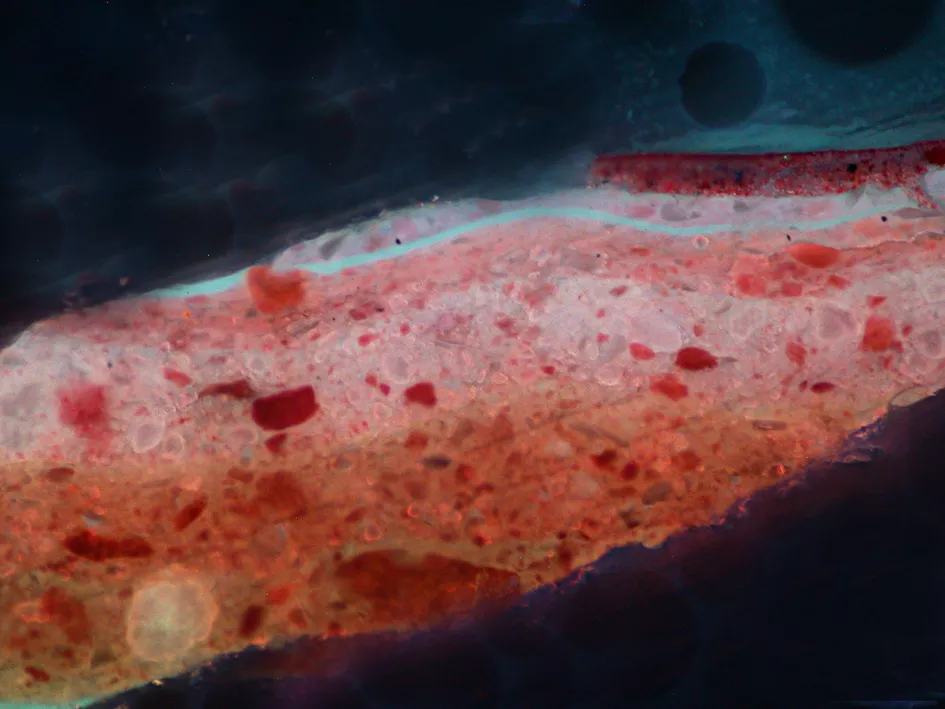 Microsample taken from an overpainted area of the dress in Foschi's work “Portrait of a Lady”