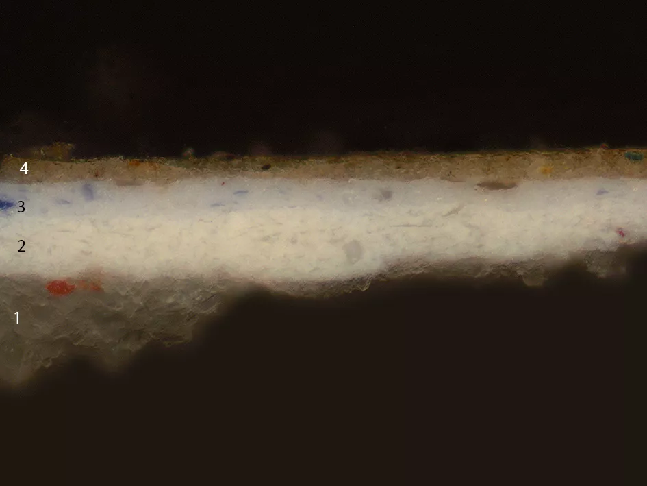 Detalle de la micromuestra tomada de la obra de Dalí, “Un segundo antes del despertar de un sueño provocado por el vuelo de una abeja alrededor de una granada”