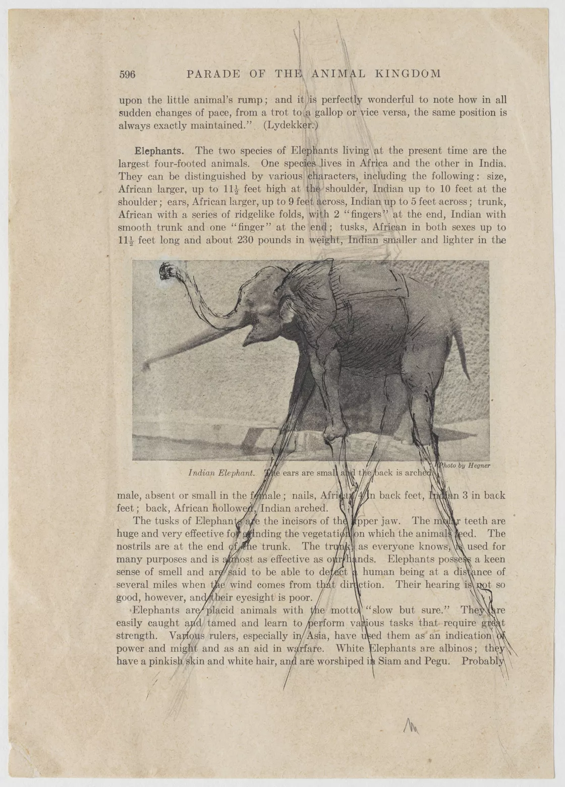 "Sin título. Elefante con obelisco" c.1946