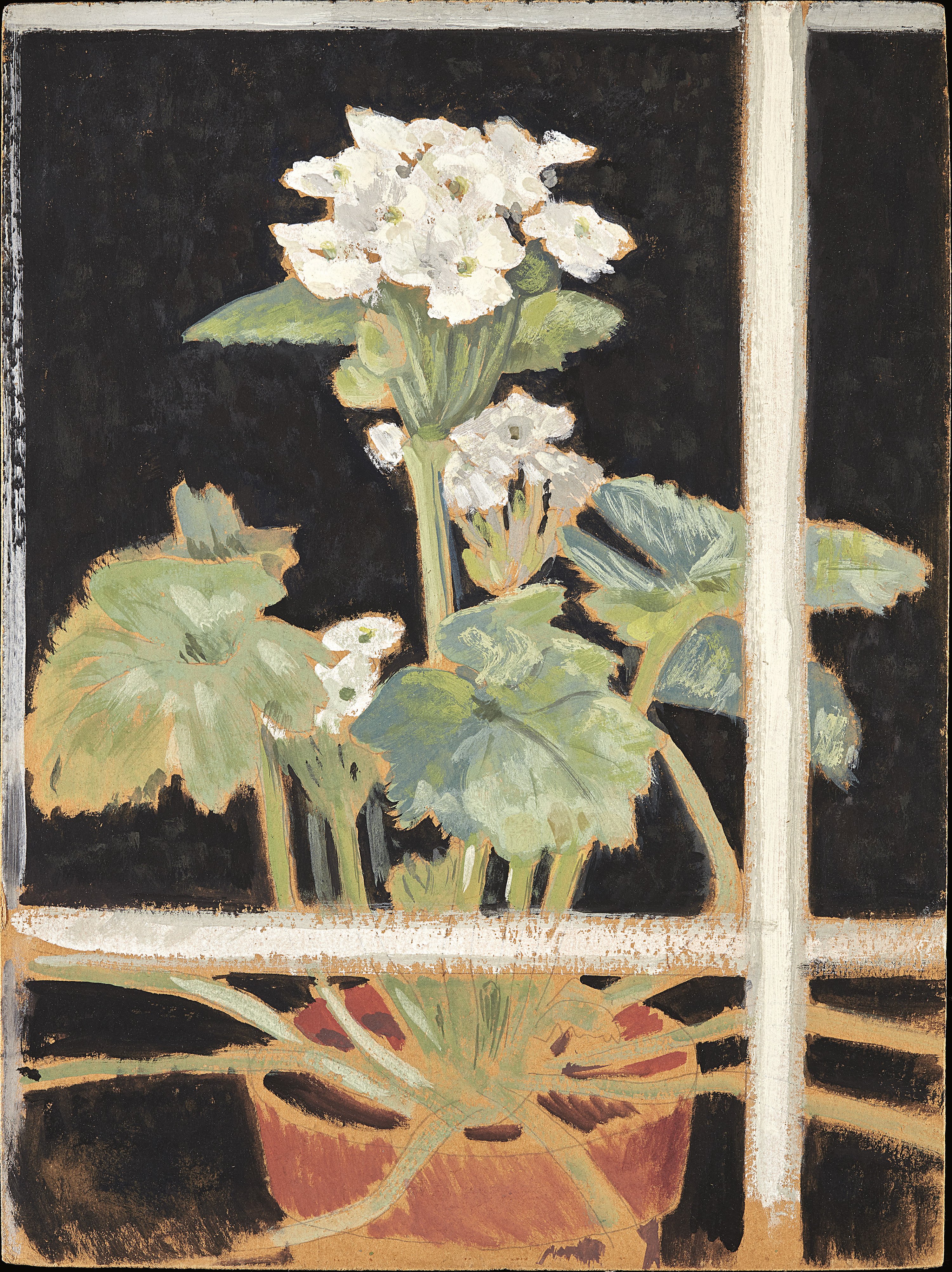 The Primrose. La prímula, 1916-1917