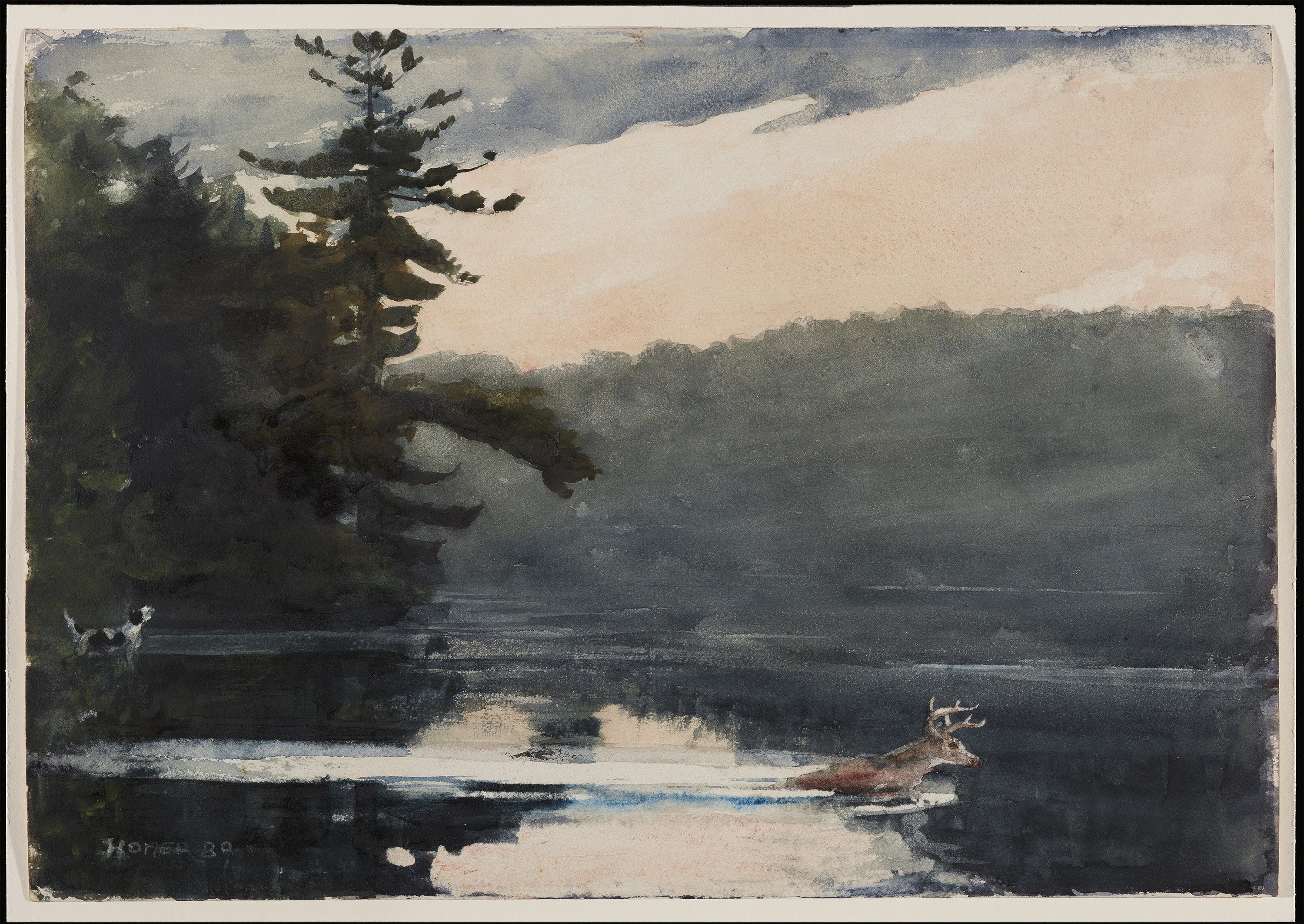 Ciervo en los montes Adirondacks. Winslow Homer