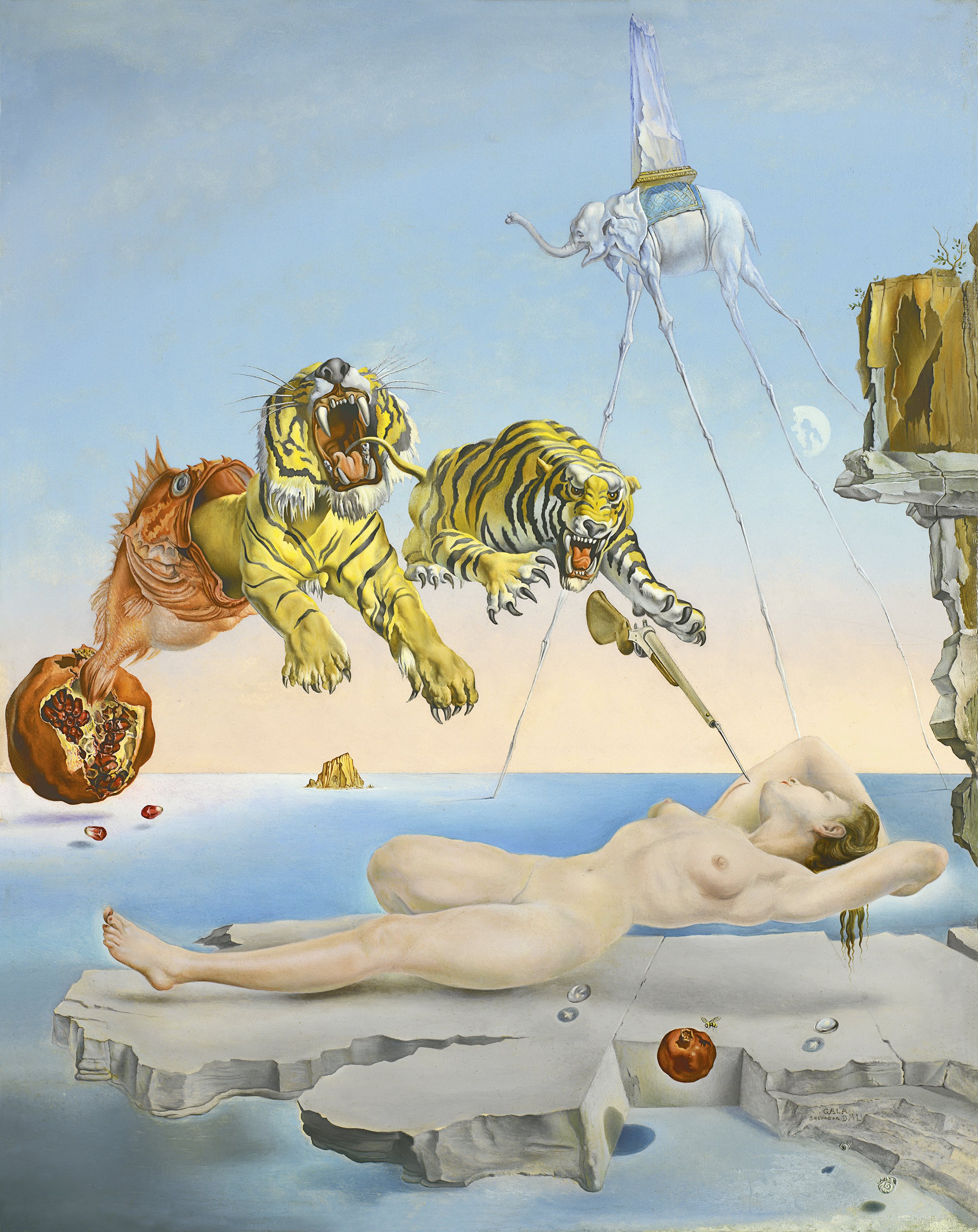 Un segundo antes del despertar de un sueño provocado por el vuelo de una abeja alrededor de una granada. Salvador Dalí Un segundo antes del despertar de un sueño provocado por el vuelo de una abeja alrededor de una granada. Salvador Dalí