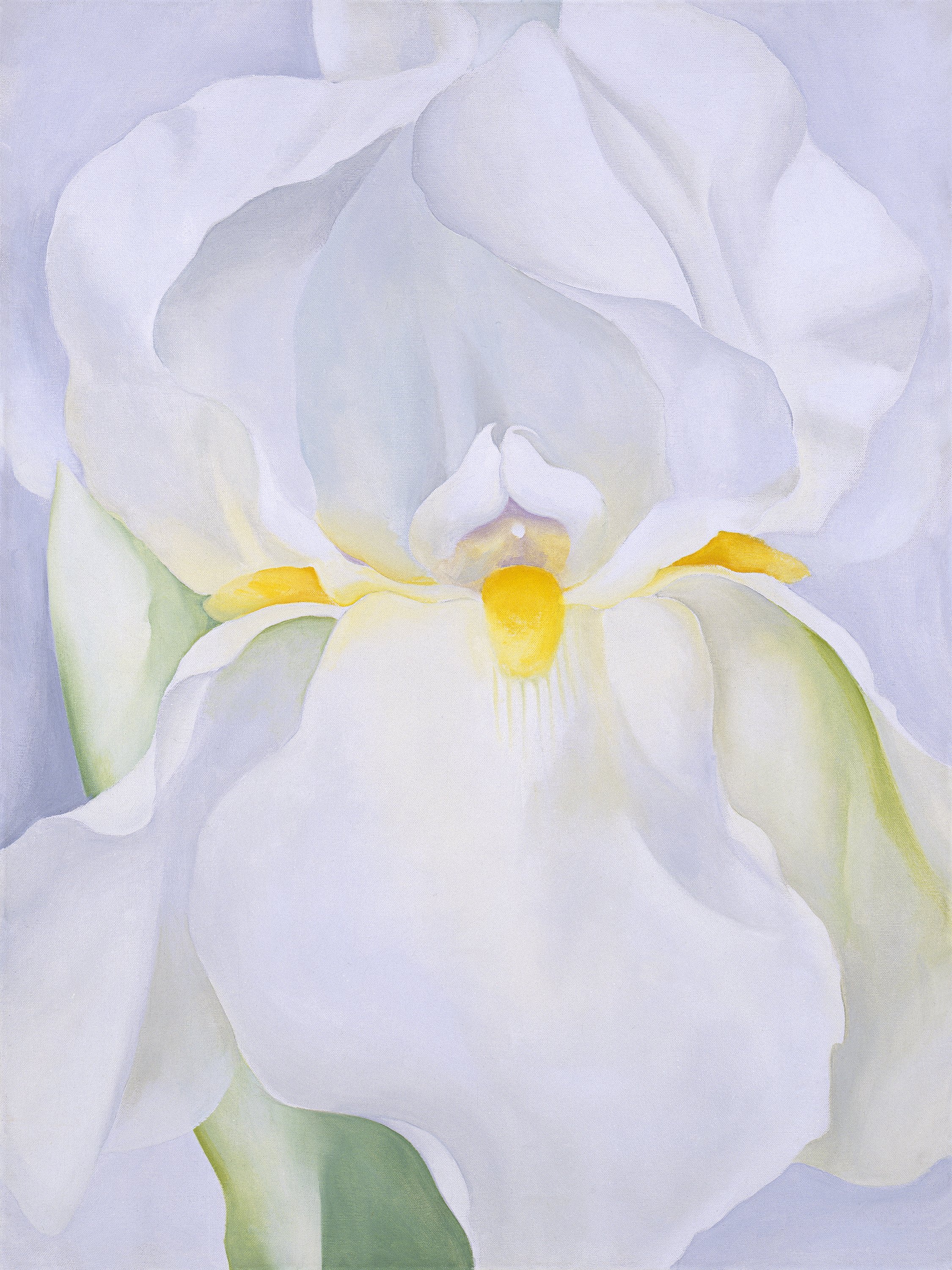 Lirio blanco nº 7 - O'Keeffe, Georgia. Museo Nacional Thyssen-Bornemisza