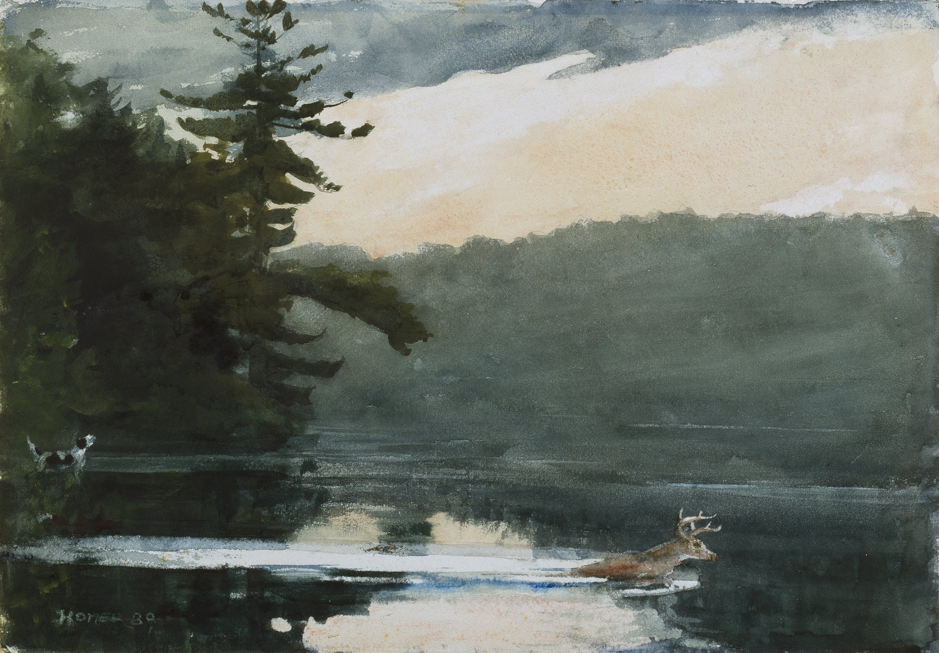 Deer in the Adirondacks. Ciervo en los montes Adirondacks, 1889