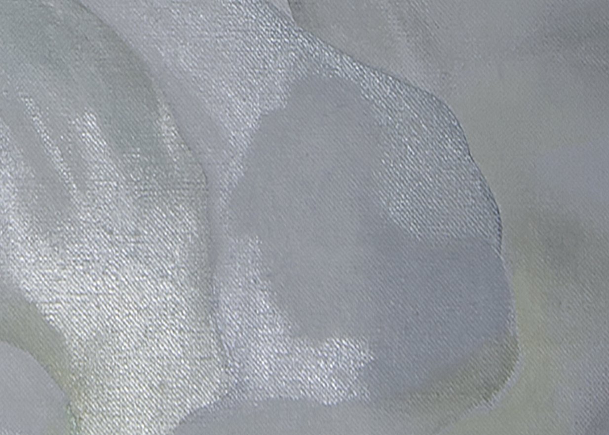 Detalle de la imagen rasante de la obra “Lirio blanco n.º 7”, 1957