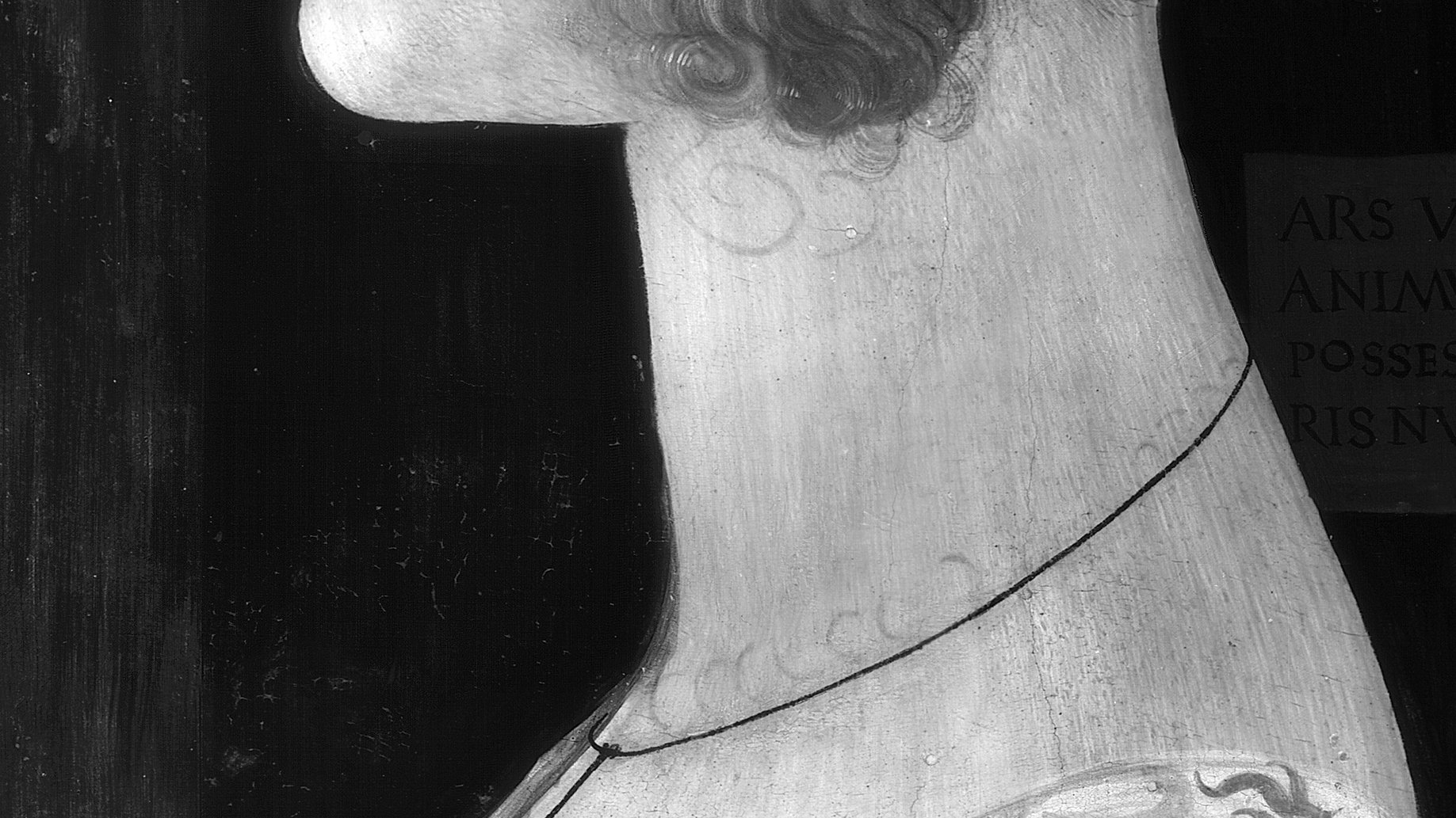 Detail from the infrared image of the painting “Portrait of Giovanna Tornabuoni” by Ghirlandaio