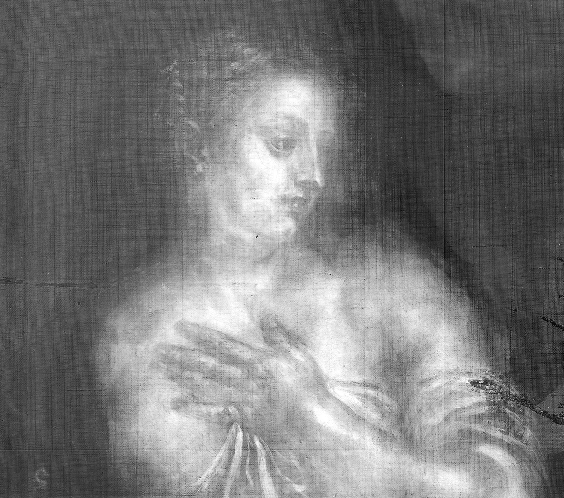 Detalle de la radiografía de “Venus y Cupido”, de Rubens
