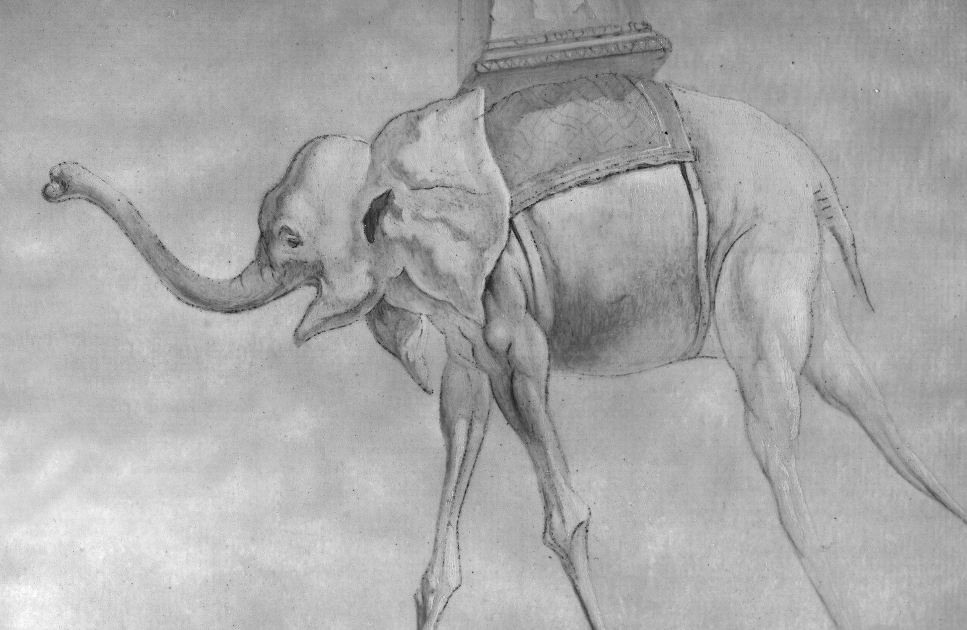 Detalle en reflectografía infrarroja del doble contorno resultante del proceso de transferencia del dibujo