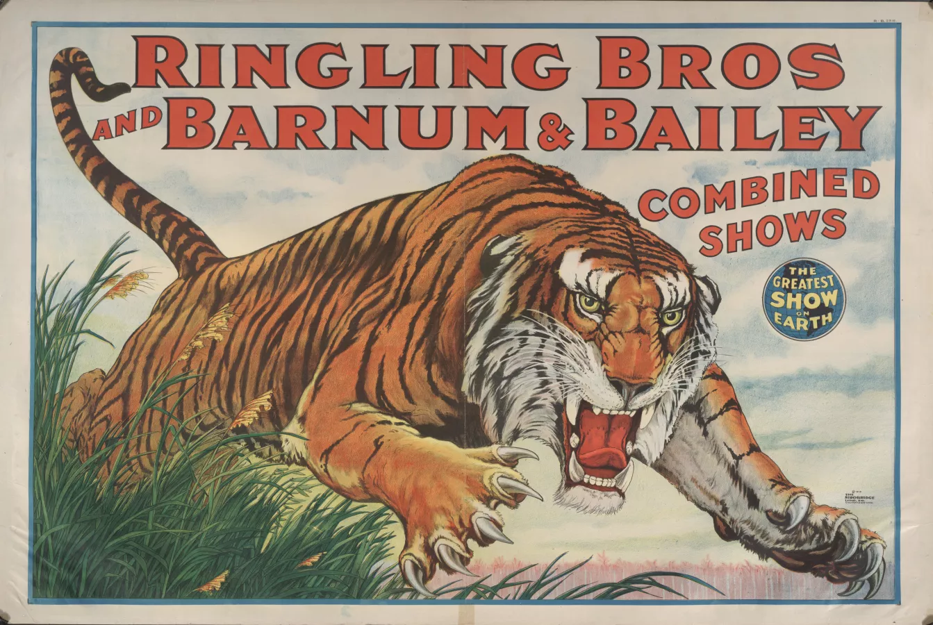 Ringling Bros. and Barnum & Bailey: Tigre saltando,1923