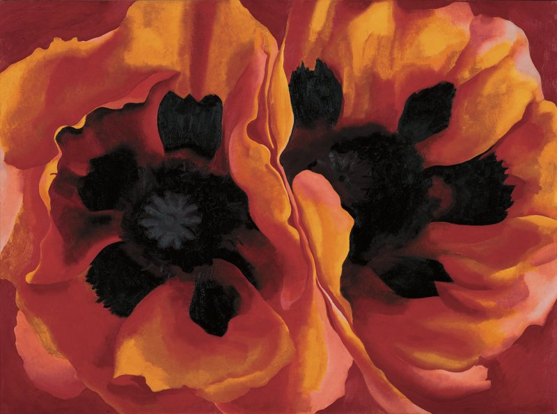 Amapolas orientales, Georgia O'Keeffe 