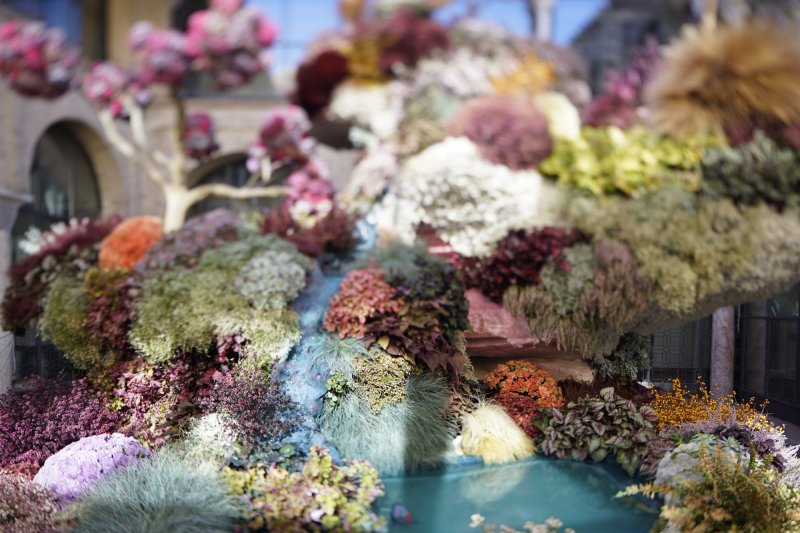 (c) Festival FLORA. Eduardo Nave. Instalación de Isabel Marías para FLORA en el Museo Taurino de Córdoba, 2017 