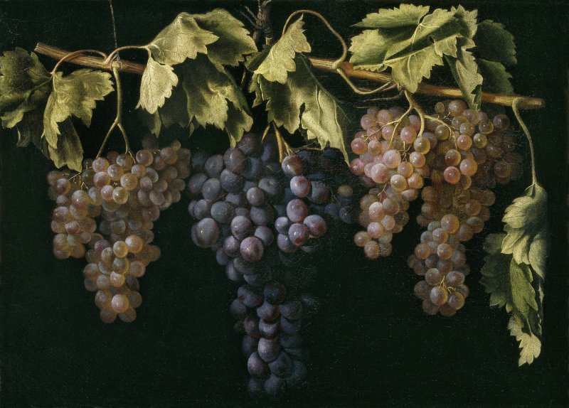 Juan Fernández “el Labrador”. Bodegón con cuatro racimos de uvas