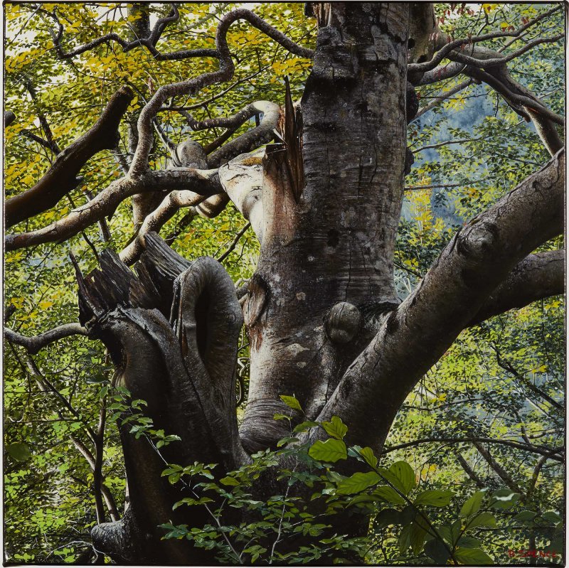 Raphaella Spence, Il Sentiero, 2019 Raphaella Spence, Il Sentiero, 2019