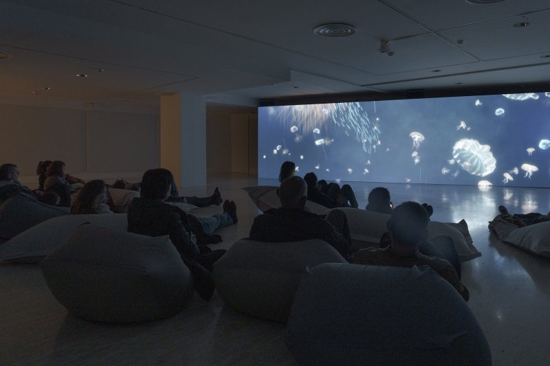 Wu Tsang. De ballenas. Vista de la instalación en el Museo Nacional Thyssen-Bornemisza, 2023