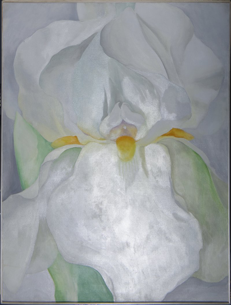 Imagen rasante de la obra “Lirio blanco n.º 7”, 1957