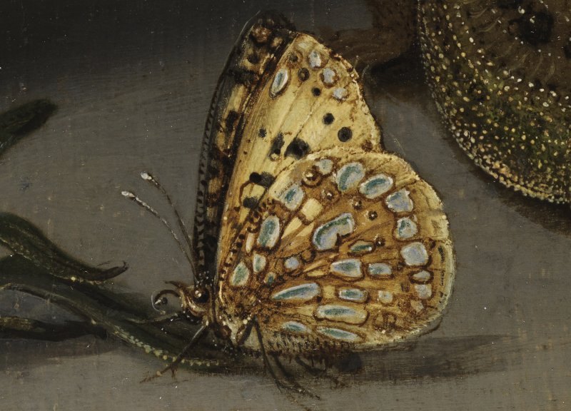 Macro-photographic detail of Ast's work "Chinese Vase with Flowers, Shells and Insects"