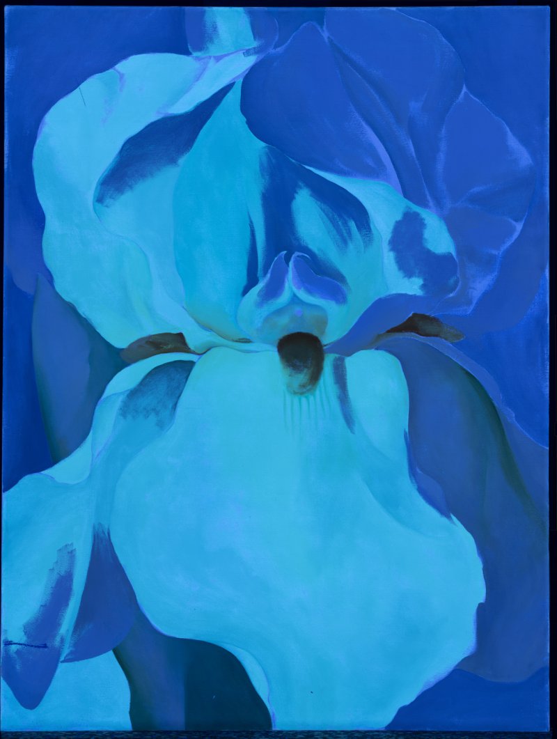 Imagen ultravioleta de la obra “Lirio blanco n.º 7”, 1957