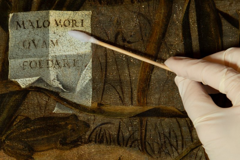 Cleaning process of the painting: varnish removal