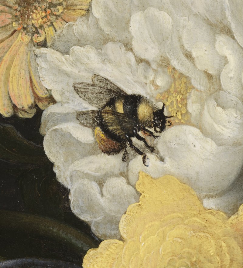 Macro-photographic detail of the painting by Ast "Chinese Vase with Flowers, Shells and Insects"
