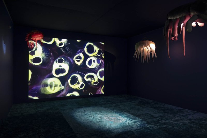 Ann Duk Hee Jordan. Ziggy and the Starfish, 2018. Vista de la instalación en el Moderna Museet Malmö, Suecia. Foto: Helene Toresdotter 