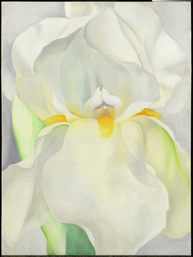 White Iris No. 7. Lirio blanco nº 7, 1957