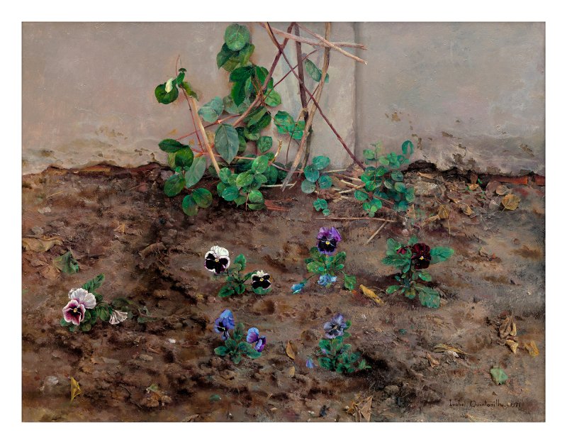 Isabel Quintanilla. Pansies, 1971