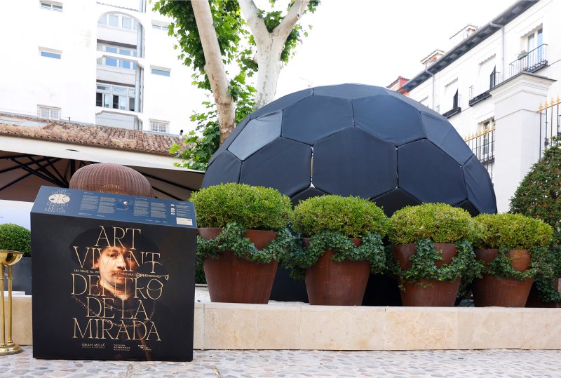 Art Vivant: Hotel Palacio de los Duques Gran Meliá